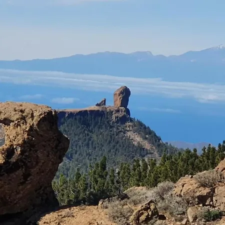 Ikigai Canteras 公寓 *