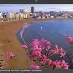 Ikigai Canteras Apartment *