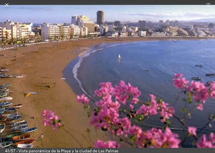 Ikigai Canteras 아파트 *